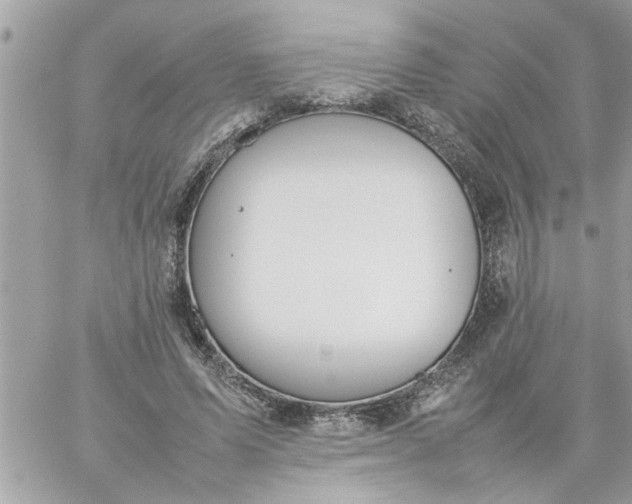 X0000059230591200510281907