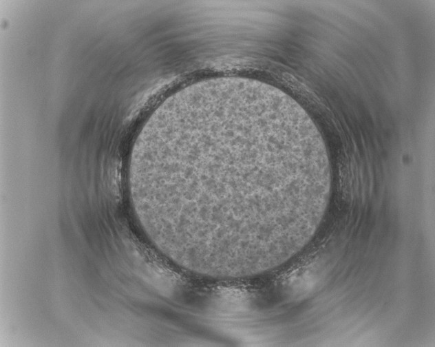 X0000059230592200510281907