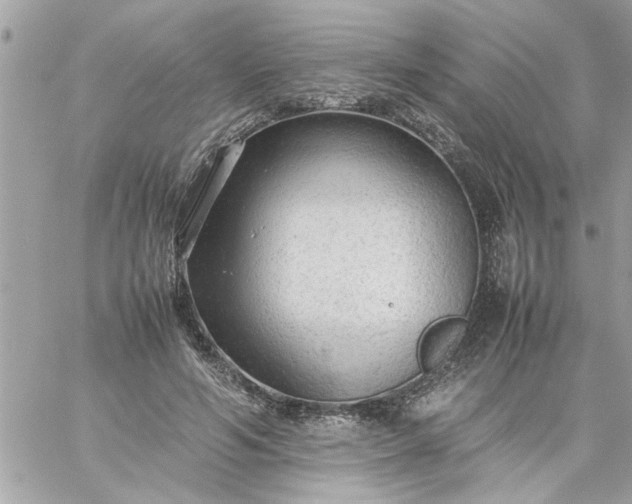 X0000059230594200510281907