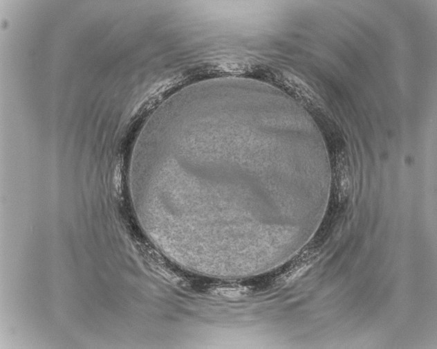 X0000059230595200510281907