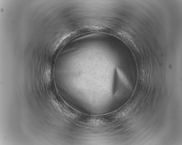 X0000059230596200510281907