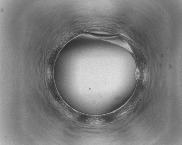 X0000059230597200510281907