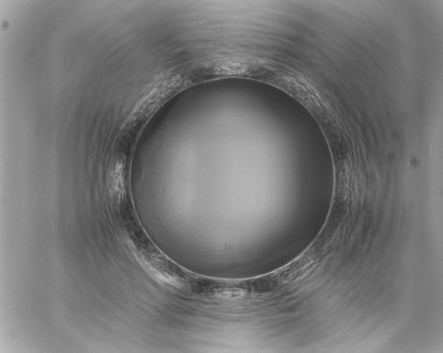 X0000059230598200510281907