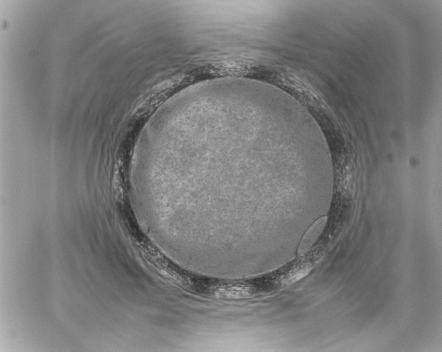 X0000059230599200510281907