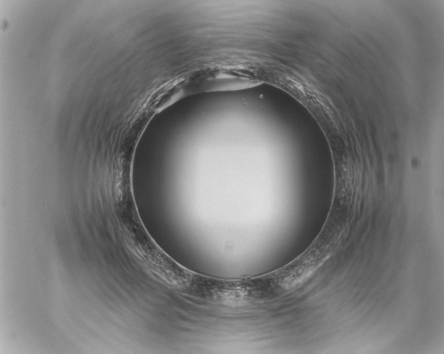 X0000059230600200510281907