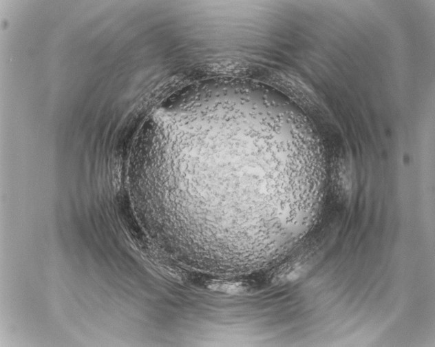 X0000059230602200510281907