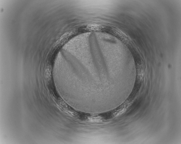 X0000059230603200510281907