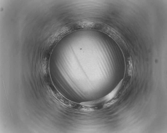 X0000059230604200510281907