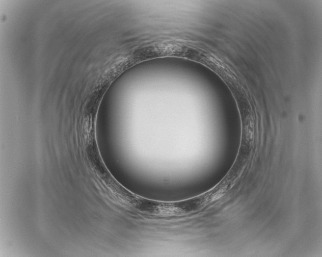 X0000059230605200510281907