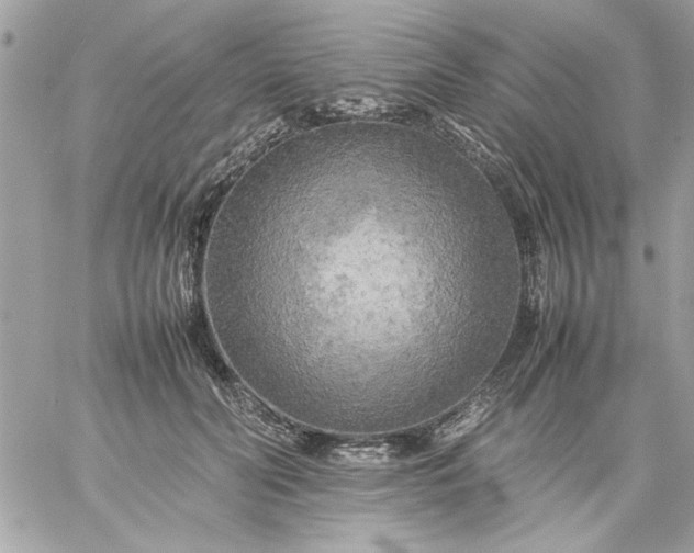 X0000059230606200510281907