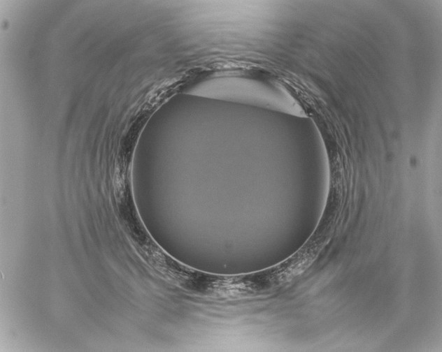 X0000059230607200510281907