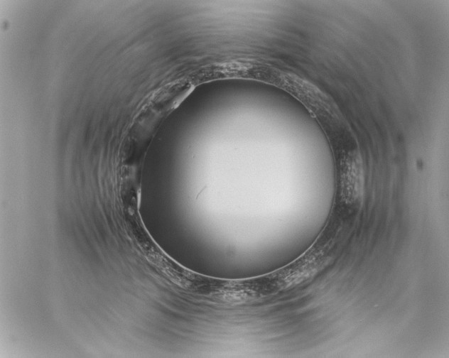 X0000059230608200510281907