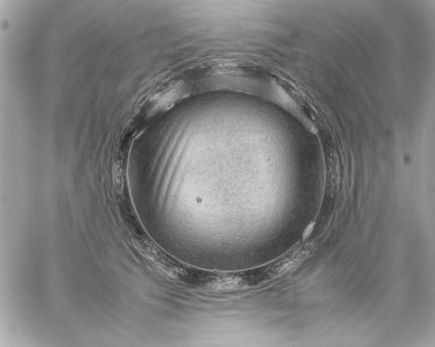 X0000059230609200510281907