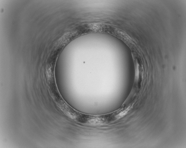 X0000059230611200510281907