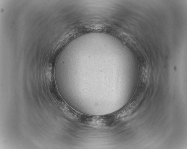 X0000059230612200510281907