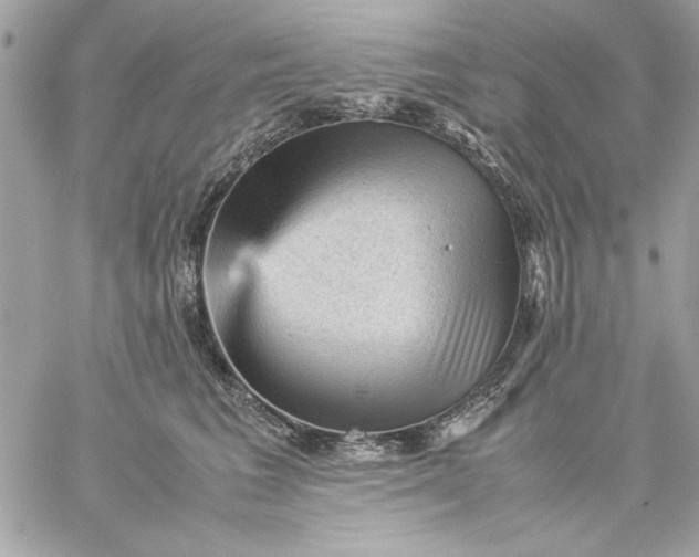 X0000059230613200510281907