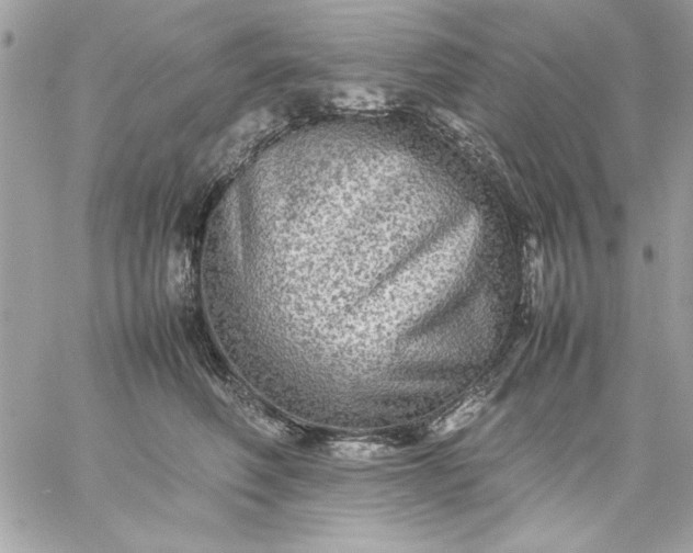 X0000059230614200510281907