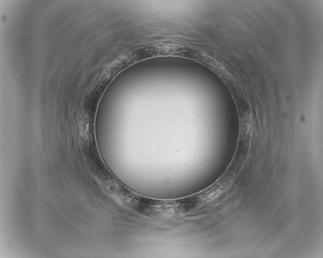 X0000059230615200510281907