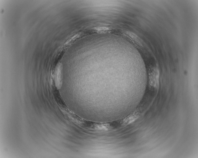 X0000059230618200510281907