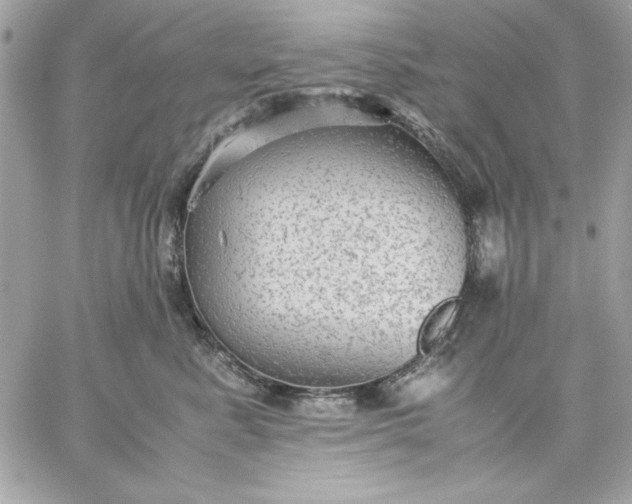 X0000059230619200510281907