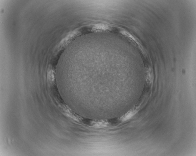 X0000059230621200510281907