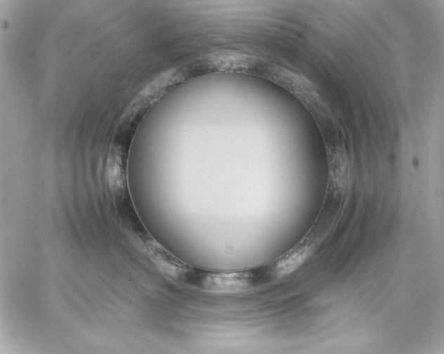 X0000059230622200510281907