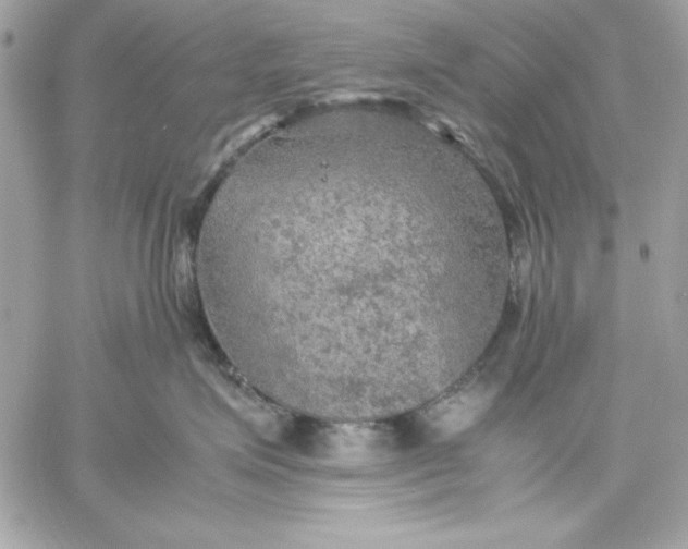 X0000059230623200510281907