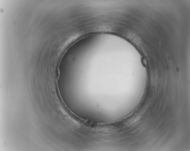 X0000059230625200510281906