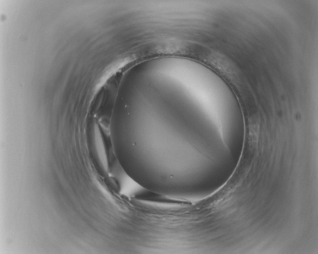 X0000059230626200510281906