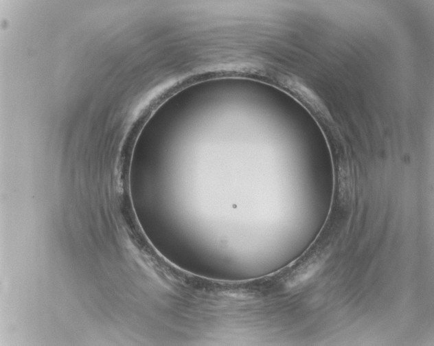 X0000059230628200510281906