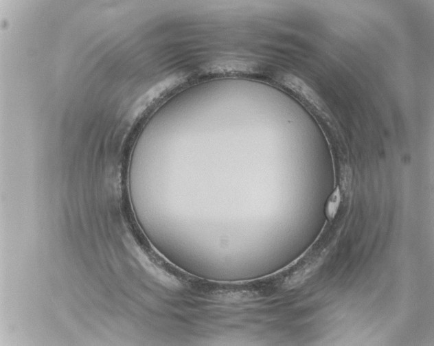 X0000059230629200510281906