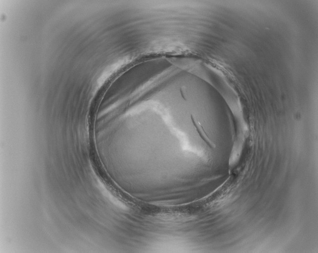 X0000059230630200510281906