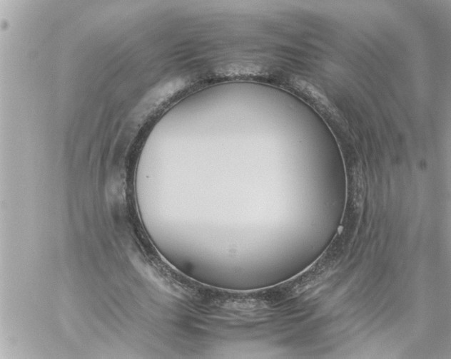 X0000059230631200510281906