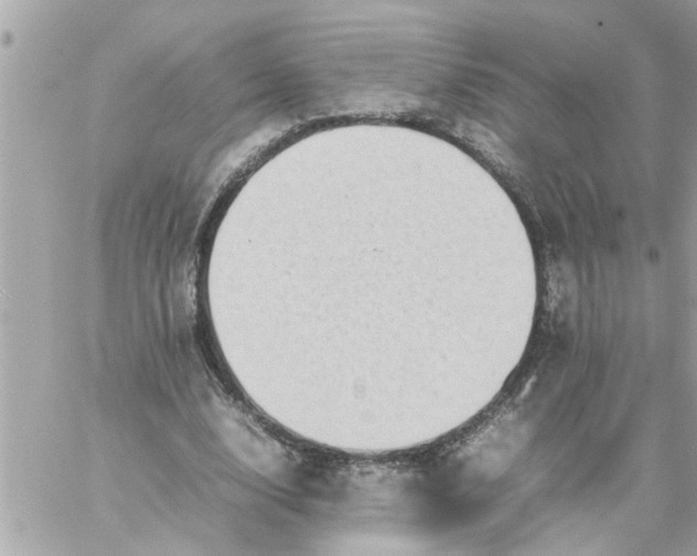 X0000059230632200510281906