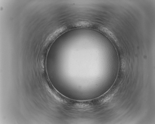 X0000059230633200510281906