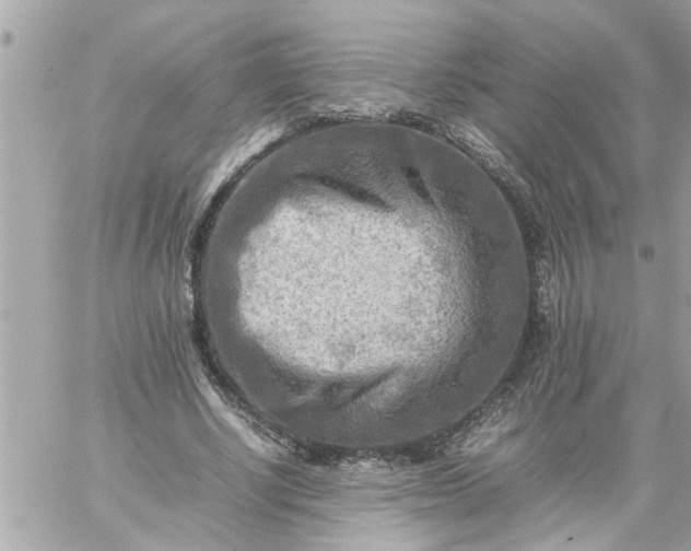 X0000059230634200510281906