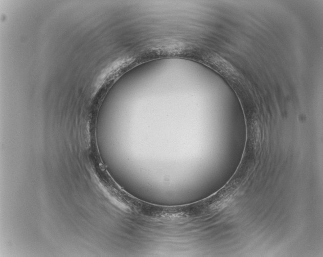 X0000059230638200510281906