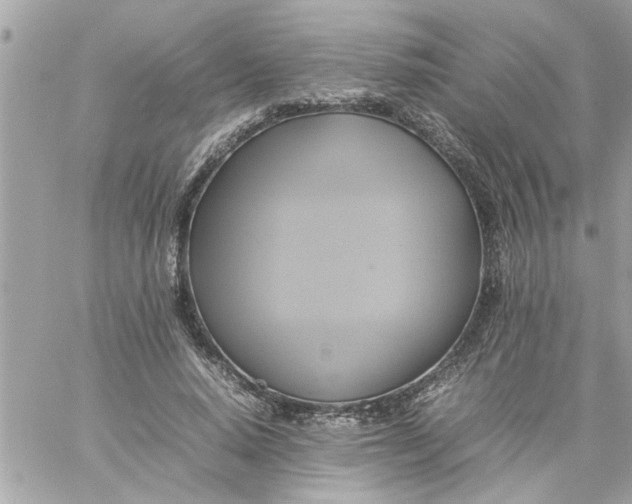 X0000059230640200510281906