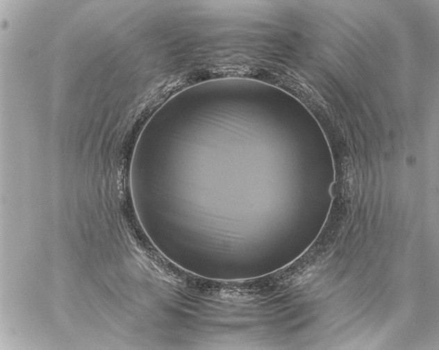 X0000059230641200510281906