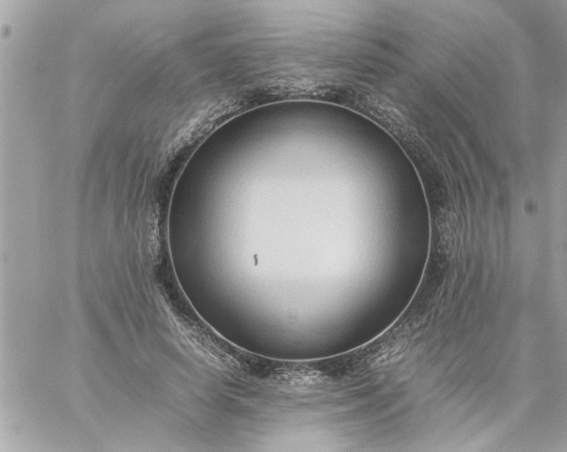 X0000059230642200510281906