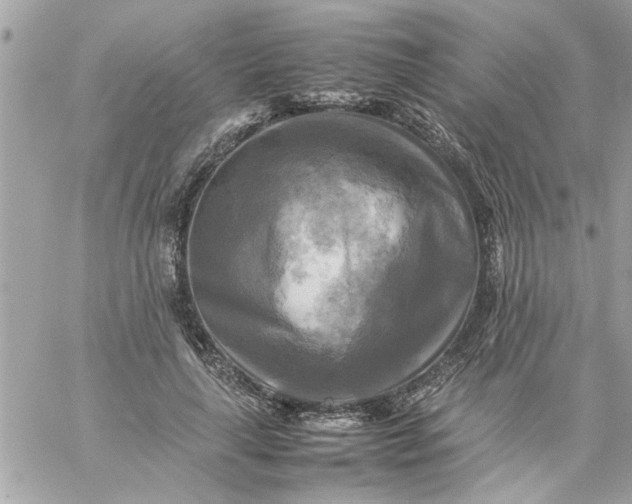 X0000059230643200510281906