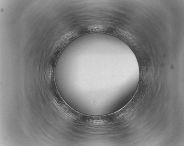 X0000059230645200510281906