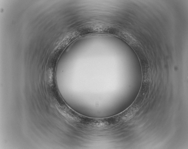 X0000059230646200510281906