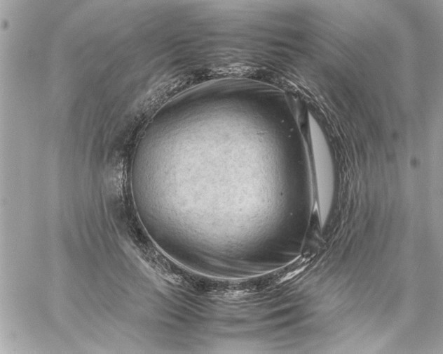 X0000059230647200510281906