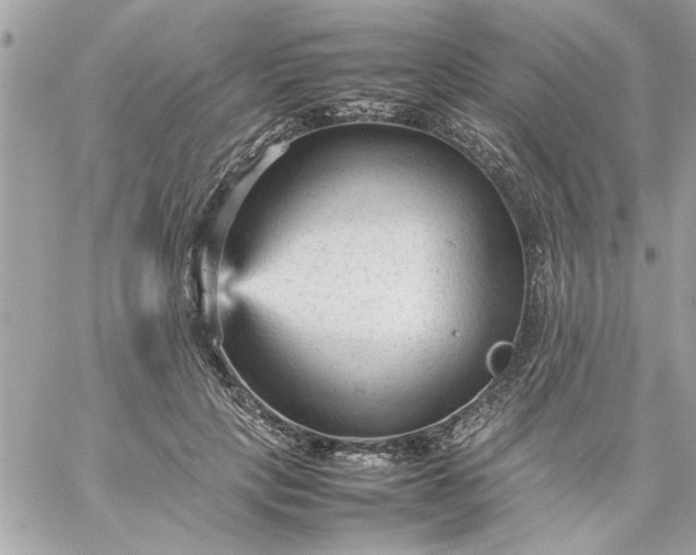 X0000059230649200510281906