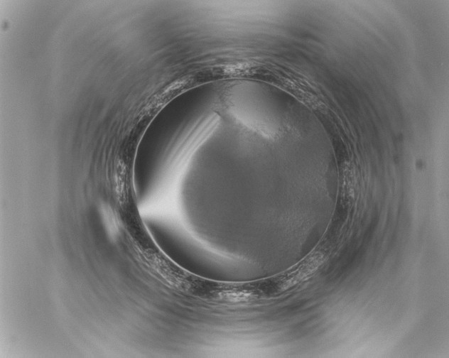 X0000059230650200510281906