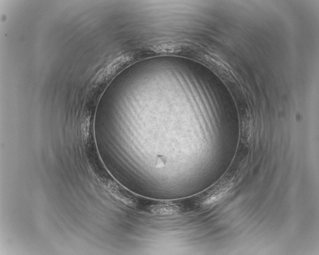 X0000059230652200510281906