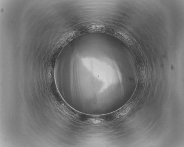 X0000059230654200510281906