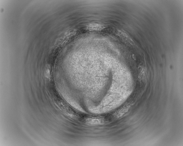 X0000059230655200510281906