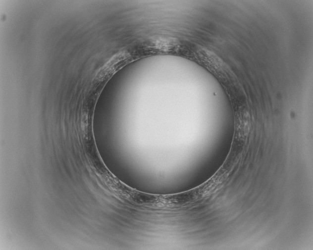 X0000059230656200510281906